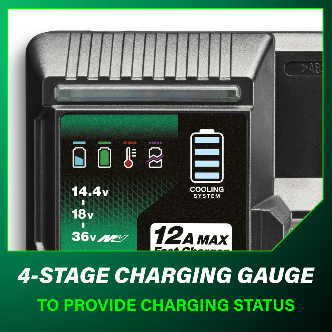 Quick Charger for MV Tabless Batteries (12Amp Charger for MV/18V Batteries)