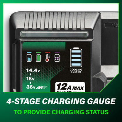 Quick Charger for MV Tabless Batteries (12Amp Charger for MV/18V Batteries)