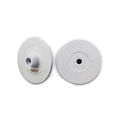 TERMINATOR FINE VACUUM BRAZED ULTRA-COMPACT PORCELAIN CUPWHEEL