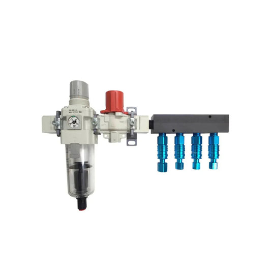 ALPHA FILTER/REGULATOR MANIFOLD SYSTEM