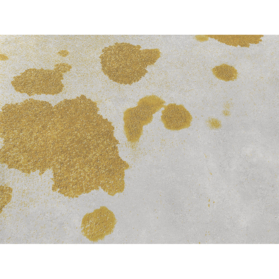 Stone before Skudo treatment