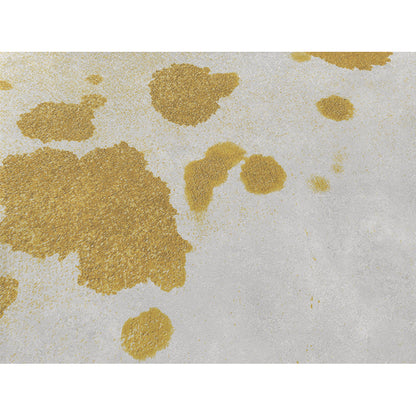 Stone before Skudo treatment